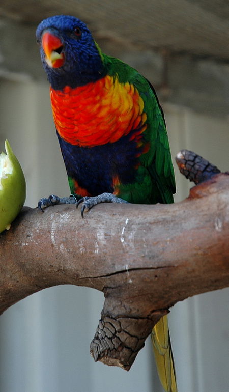 Bunbury Wildlife Park - Hotel WA 3