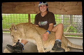 Cairns Wildlife Safari Reserve - Hotel WA 1