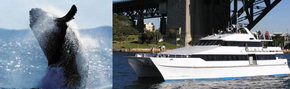 Prestige Harbour Cruises - Hotel WA 3