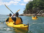 Sydney Harbour Kayaks - Hotel WA 1