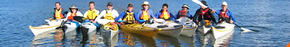 Sydney Harbour Kayaks - Hotel WA 3