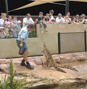 Symbio Wildlife Gardens - Hotel WA 3