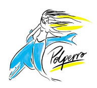 Polperro Dolphin Swims - Hotel WA 0