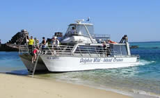 Dolphin Wild - Hotel WA 2