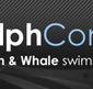 Dolphcom - Dolphin  Whale Swimming Adventures - Hotel WA
