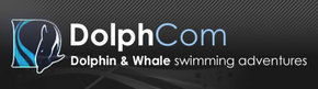 Dolphcom - Dolphin & Whale Swimming Adventures - Hotel WA 0