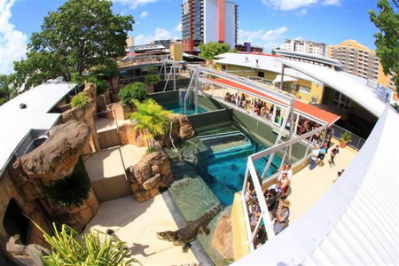 Crocosaurus Cove - Hotel WA 1