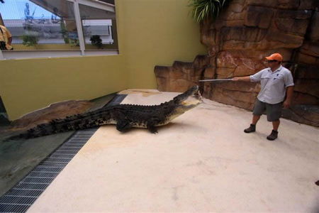 Crocosaurus Cove - Hotel WA 2