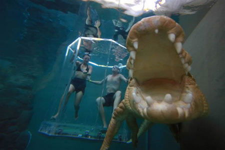 Crocosaurus Cove - Hotel WA 3