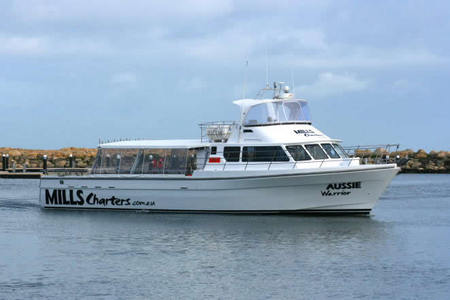 Mills Charters Fishing And Whale Watch Cruises - Hotel WA 1