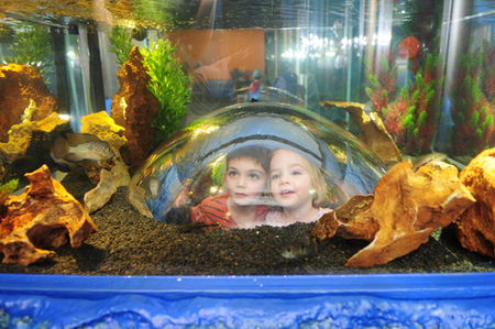 Scitech - Hotel WA 3