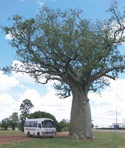 Kununurra Cruises - Hotel WA 1