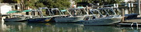 Brooklyn Central Boat Hire & General Store - Hotel WA 1