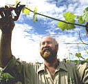 Barossa Experience Tours - Hotel WA