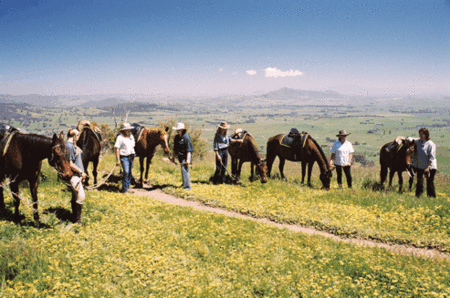 Watsons Trail Rides - Hotel WA 1
