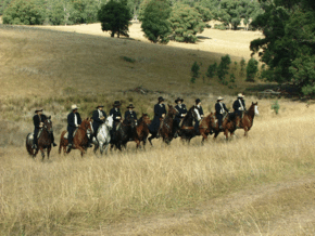 McCormacks Mountain Valley Trail Rides - Hotel WA 0
