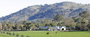 Blue Gum Farm - Hotel WA 1