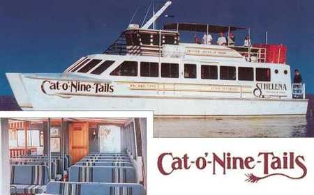 Cat O' NineTails - Hotel WA 1