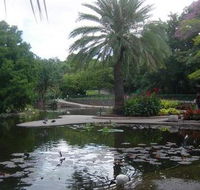 Brisbane City Botanic Gardens - Hotel WA