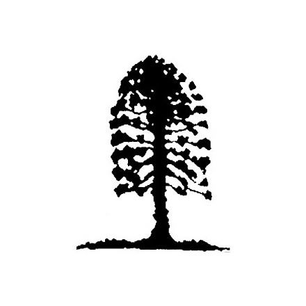 Musgrave Park Cultural Centre - Hotel WA 2