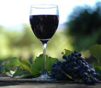 Lion Mill Vineyards - Hotel WA 0