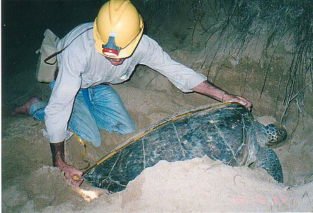 Footprints Adventures - Hotel WA 2