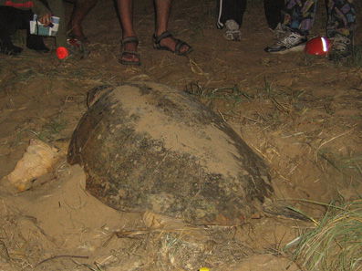 Footprints Adventures - Hotel WA 3