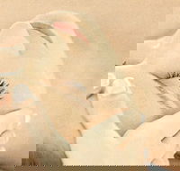 The Golden Door Spa  Health Club at Mirage Resort - Hotel WA