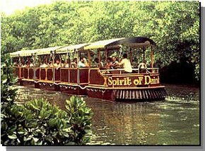 Daintree Rainforest River Trains - Hotel WA 0