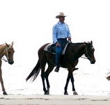 Ride the Beach - Hotel WA