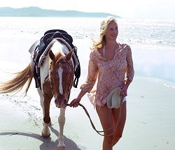 Ride The Beach - Hotel WA 3