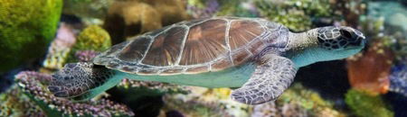 Melbourne Aquarium - Hotel WA 1