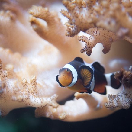 Melbourne Aquarium - Hotel WA 2