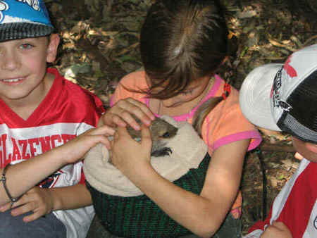 Koala Park Sanctuary - Hotel WA 3