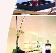 Lyall Hotel and Spa - Hotel WA