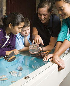 The Rocks Discovery Museum - Hotel WA 3