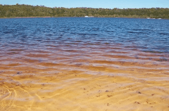 Beach Trekkers North Stradbroke Island - Hotel WA 1