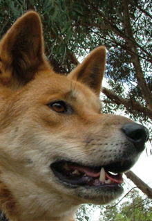 Armadale Reptile & Wildlife Centre - Hotel WA 5