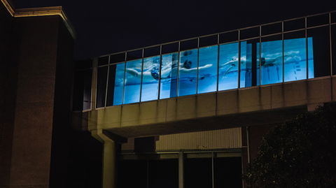 Kingston Arts - Hotel WA 8