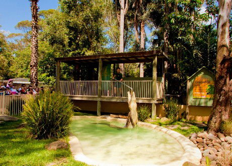 Featherdale Wildlife Park - Hotel WA 2