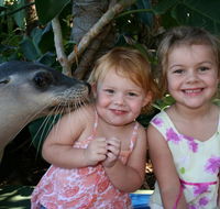 Dolphin Marine Magic - Hotel WA