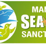 Manly SEA LIFE Sanctuary - Hotel WA