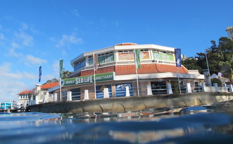 Manly SEA LIFE Sanctuary - Hotel WA 2