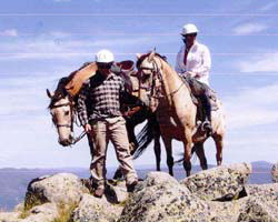 High Country Horses - Hotel WA 3
