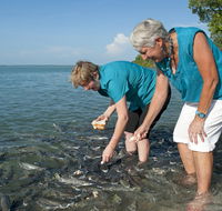 Aquascene Fish Feeding Sanctuary - Hotel WA