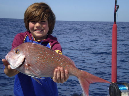 Mills Charters Fishing And Whale Watch Cruises - Hotel WA 4