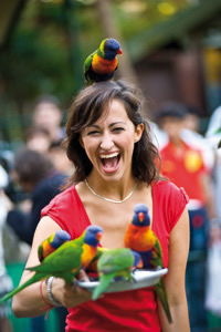 Currumbin Wildlife Sanctuary - Hotel WA 10