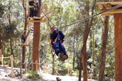 Currumbin Wildlife Sanctuary - Hotel WA 11