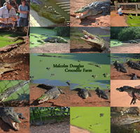 The Malcolm Douglas Crocodile Park - Hotel WA