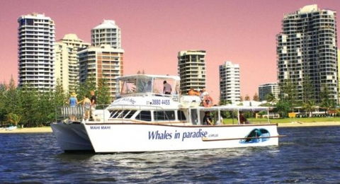 Australian Whale Watching - Hotel WA 8